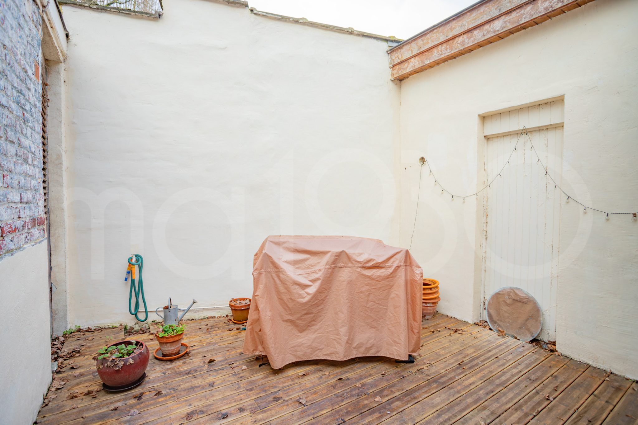 photo_59eaa7d3eaeabb7c9b401ea6bb2ca520