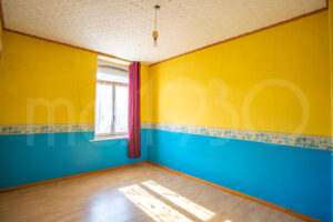 photo_d19acdb79ac73076cf1da80888bda216